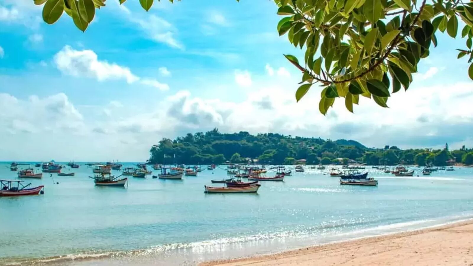 O que fazer em Penha no fim de ano